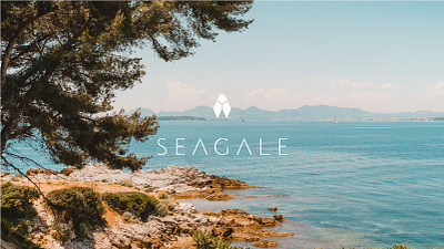 Seagale branding graphic design logo