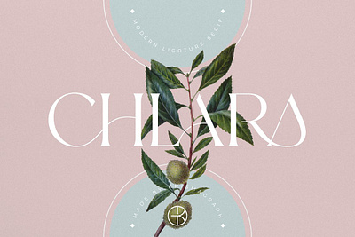 CHLARA Modern Ligature Serif beauty branding calligraphy casual classy font display font elegant font fashion ligature font ligatures logo font luxury minimalist font modern font modern serif serif social media sophisticated stylish wedding font