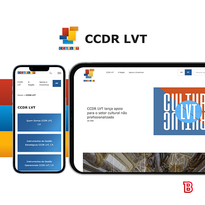 CCDR LVT design ui ux webdesign webdevelopment