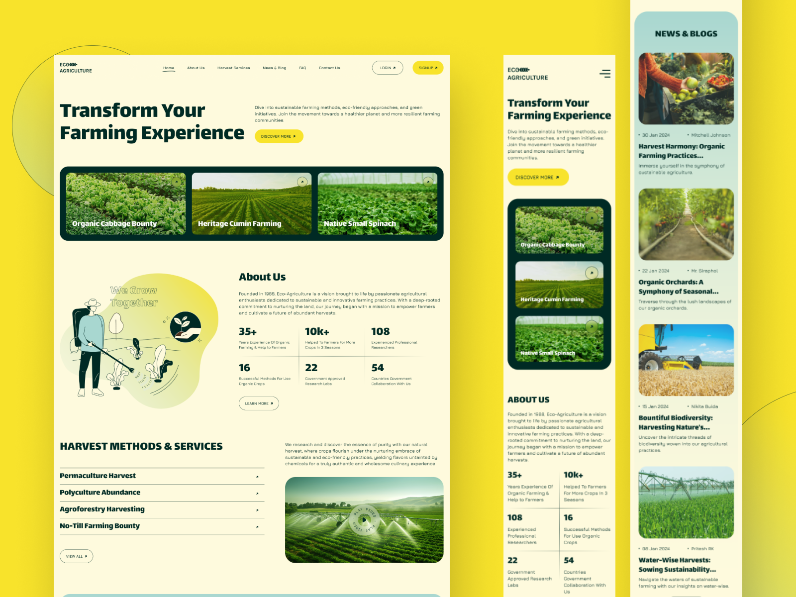 Example of Minimal Landing Page Design