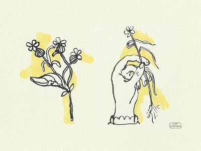 Wild flowers acryl floral flower hand illustration illustrator ink sketch summer wild flower