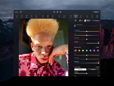 Lensa photo editor for MacOS app color design editor grading macos mask photo ui