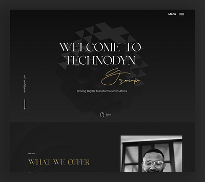 Black and Gold Website Design branding landing page ui ux web design web development website