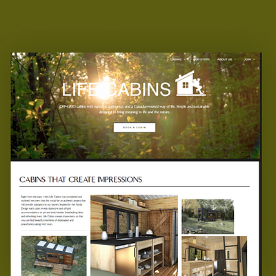 LifeCabins 3d animation graphic design logo ui