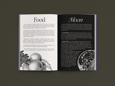 The Book of Dreams Journal book book cover editorial graphic design journal journal design layout planner