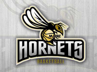 Logo concepts - hoops basketball chipdavid dogwings graphic design hoops hornets illustration logo sting vector