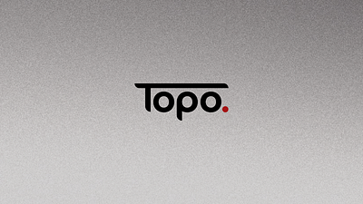 Topo. brand company graphic design logo logo design wordmark wordmark logo