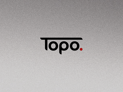 Topo. brand company graphic design logo logo design wordmark wordmark logo