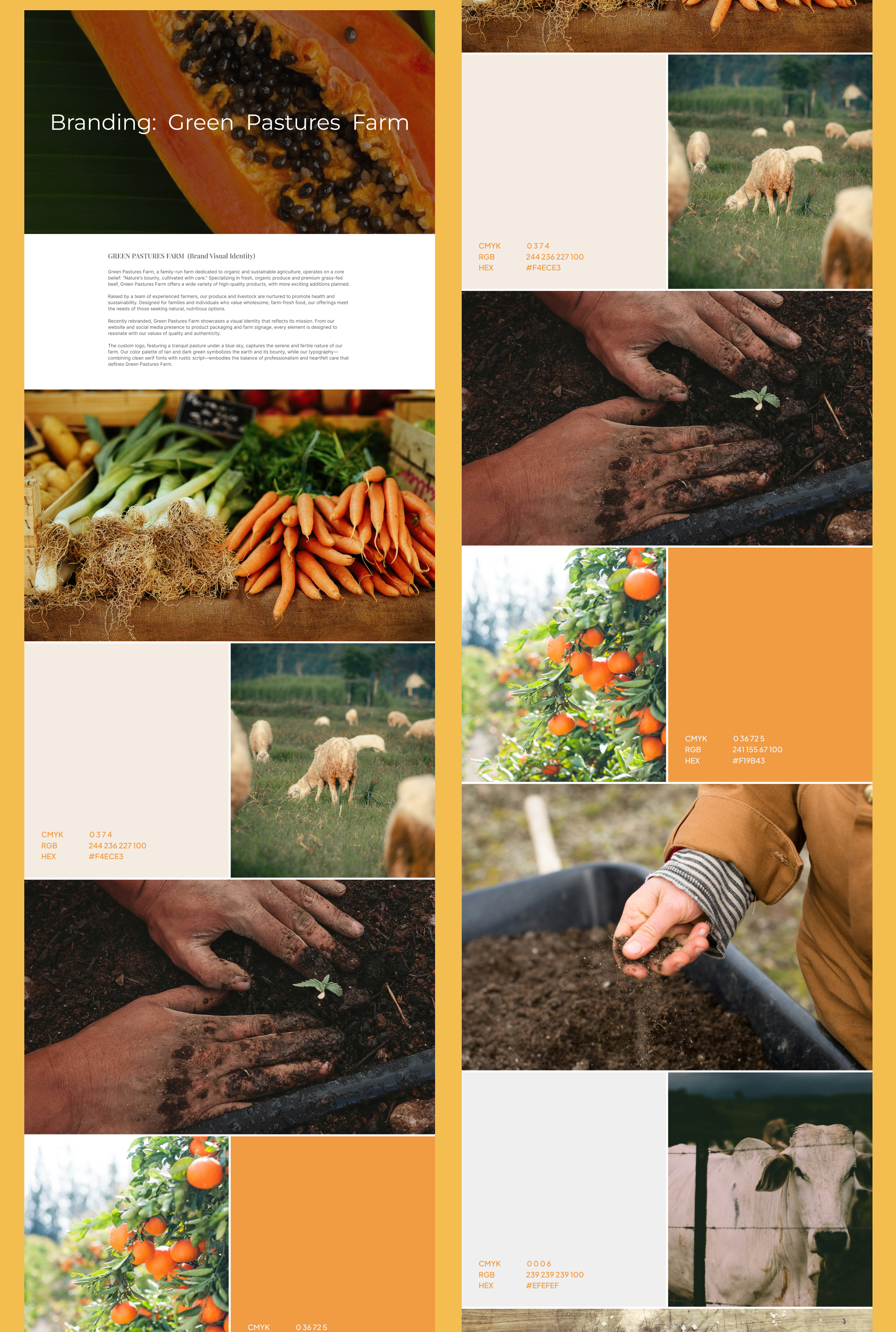 Branding for Green Pastures Farm Store app branding design design agency graphic design illustration logo product design typography ui ux vector