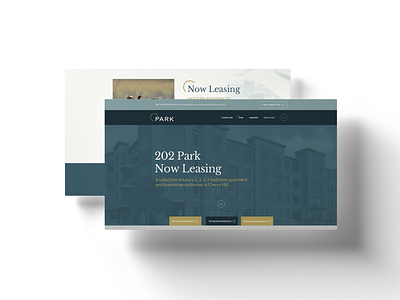 202 Park Apartments Brand and Website Design apartment branding apartment marketing apartment website brand website branding branding website multifamily multifamily website website website design