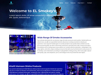 Shisha Company Website Design figma html ui ux design web development website design