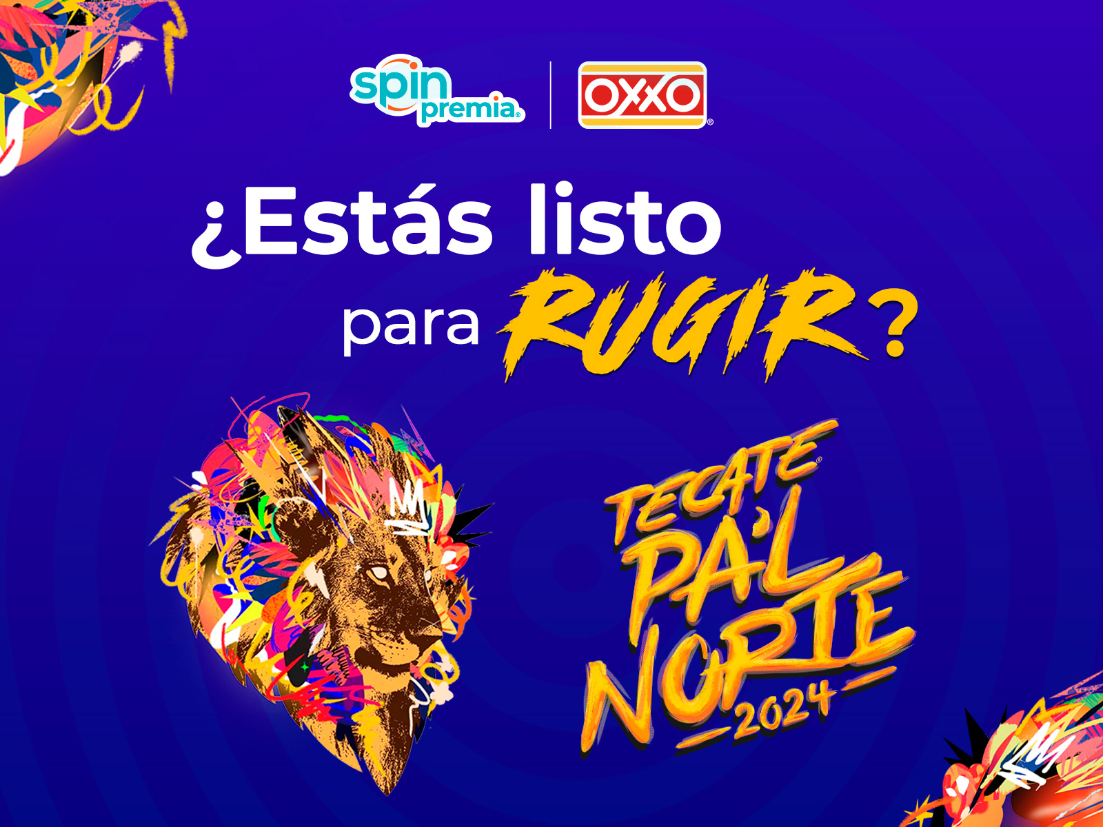 Spin Premia - Tecate Pa'l Norte 2024 brand branding concert design festival graphic design instagram motion graphics redes sociales rock social media social netwotks