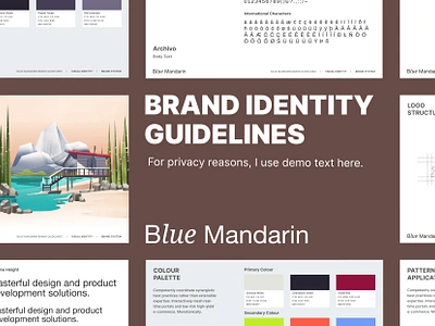 Blue Mandarin Brand Identity and Guidelines brand brand book brand design brand guidlines brand identity brand presentation brand strategy branding branding design clean design graphic design graphics logo print design