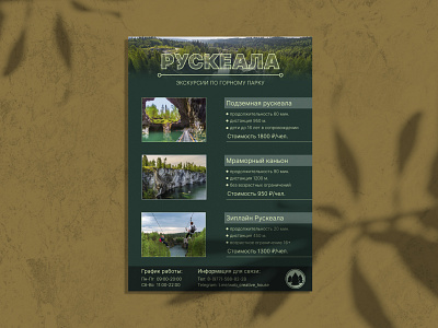 Offer tourism design figma graphic design offer ui ux uxui дизайн web design оффер фотошоп