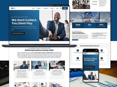 Bison Credit Solutions Website web design website website design wordpress