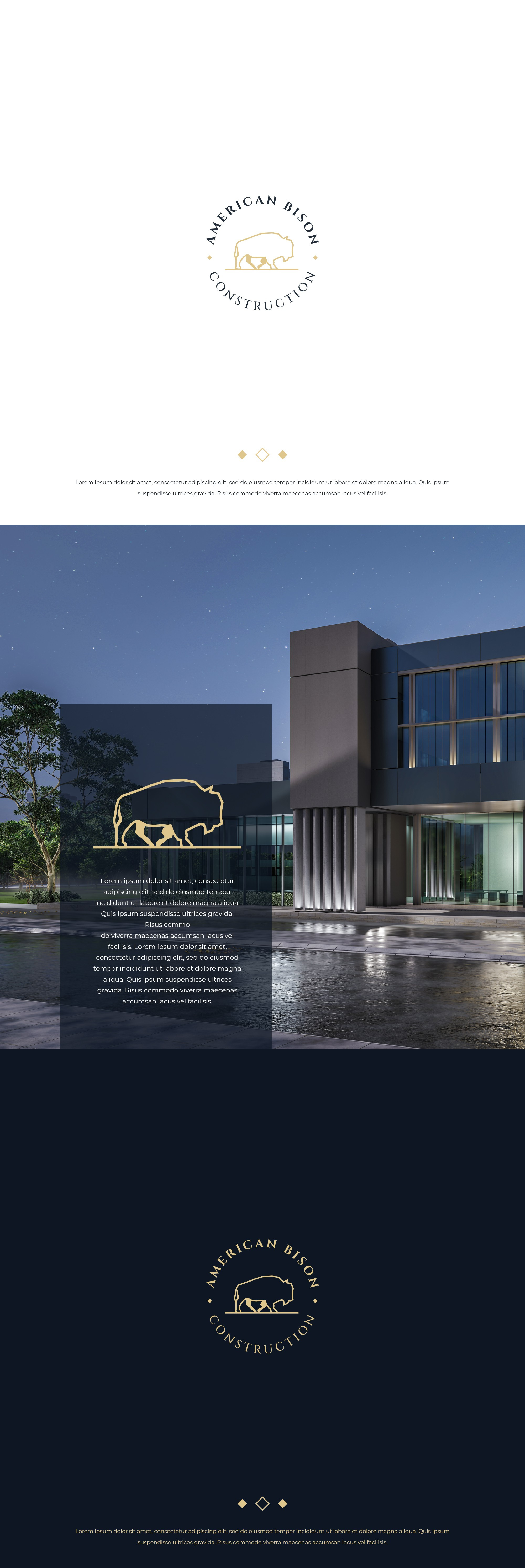 American Bison Logo branding design graphic design illustration logo modern professional simple ui vector