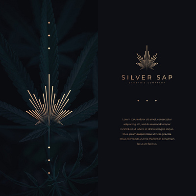 Silver Sap Logo branding design graphic design illustration logo modern professional simple ui vector