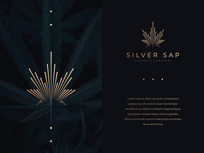 Silver Sap Logo branding design graphic design illustration logo modern professional simple ui vector