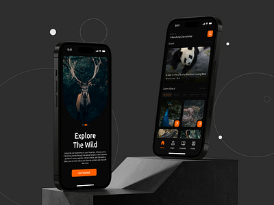 Zoopedia Mobile App design figma homepage landingpage mobile ui uidesign uiux