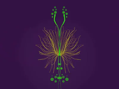 Illustration - Flower 12 graphic design illustration