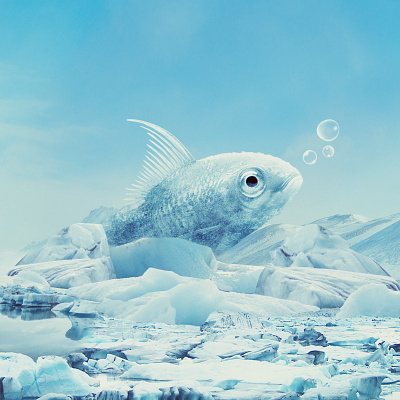 #2 Photoshop Manipulation - Icy Fish in the Cold Desert adobe blue cold desert digital editing fish graphic design ice manipulation photo photoshop sky tutorial