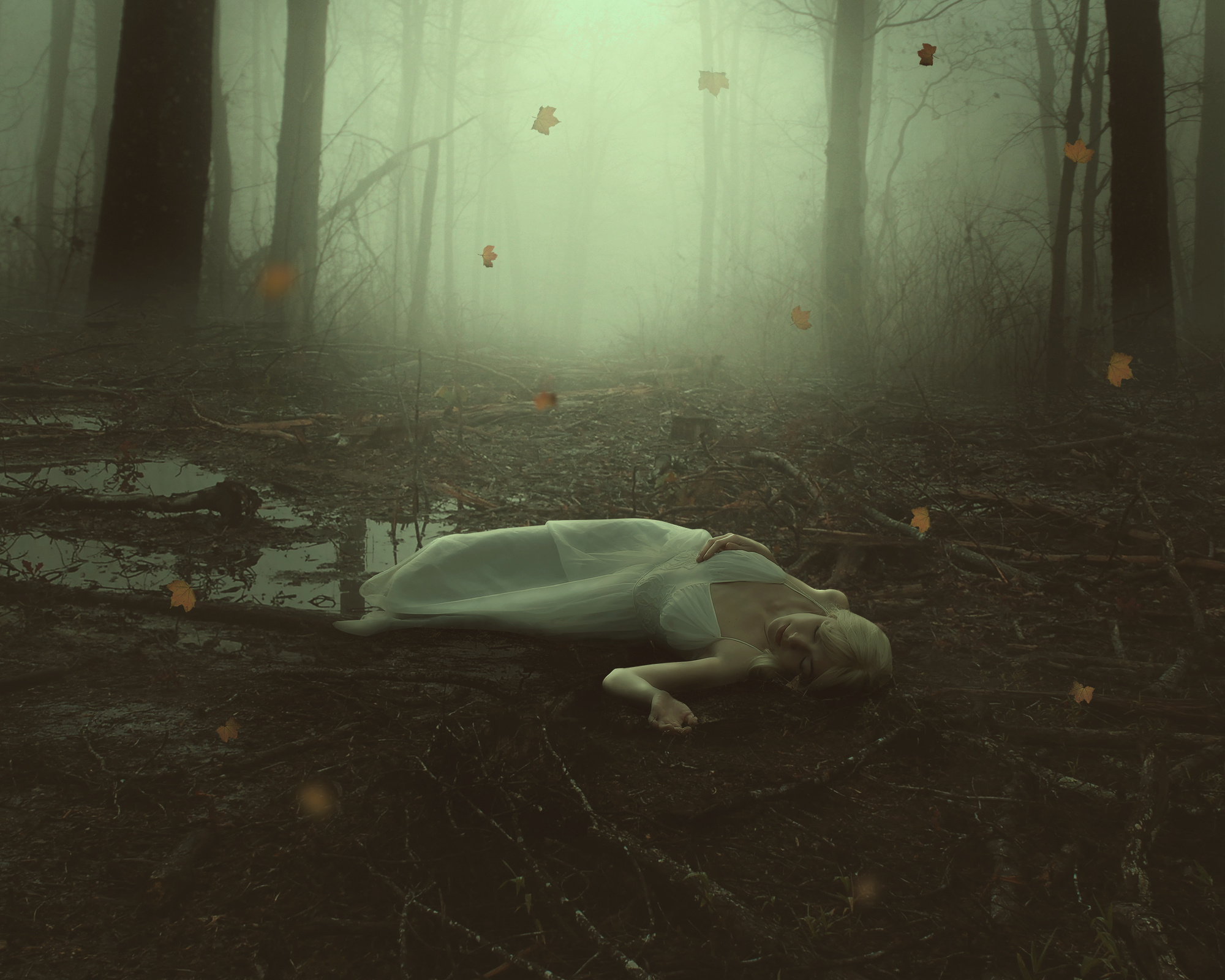 #8 Photoshop Manipulation - The Forgotten Sleeping Beauty artistic creative dark fantasy digital dramatic dreamlike editing emotional enchantment fall fantasy forest free loneliness manipulation nature photoshop sleeping beauty surreal tutorial