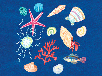Under the Sea Collection art artwork children childrensbook collection coralreef crab design fish illust illustration ipad jellyfish ocean photoshop science starfish underthesea