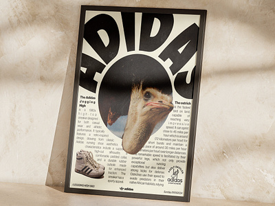 Adidas Poster adidas design graphic design marketing poster retro vintage