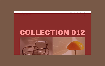 Archive shop: search box animation design interaction interface ui web website