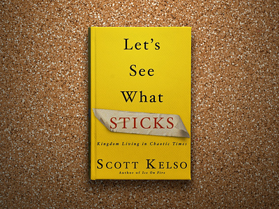 Let’s See What Sticks Book Cover Design book cover design graphic design