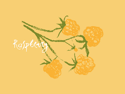 Branch of yellow raspberries concept drawings engraved engraving fruit hand drawn healthy food icon illustration label design leaves logo nature raspberry branch style sunny symbol yellow raspberry