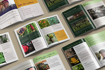 Agriculture Brochure agriculture agriculture brochure agriculture magazine brochure brochure design food brochure food magazine nutrition brochure nutrition magazine