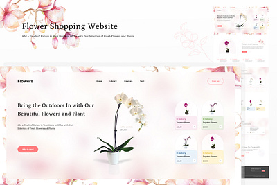 Shopping Website e commerce flower shopping shopping ui ui design web design