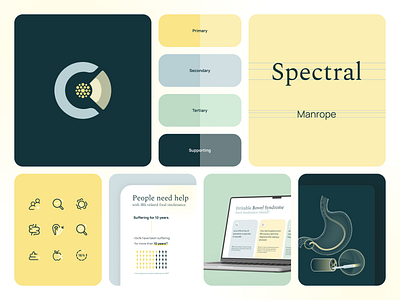 Food Intolerance Brand Overview brand brand identity brand style branding dark graphic design green icon icons illustration laser logo slide slides soft stomach yellow