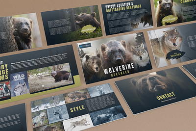 Wolverine Film Pitch Deck Design adobe photoshop branding creative presentation design graphic design pitch deck design