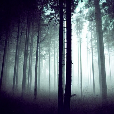 Pine-Dark-Forest
