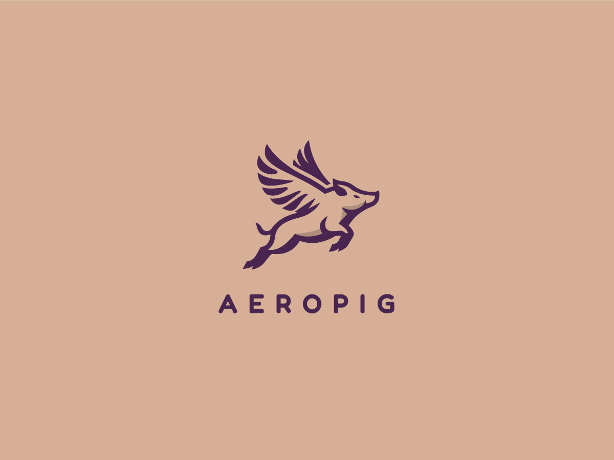 Flying Pig Logo abstract aero brand branding company flying logo logoground pig vector