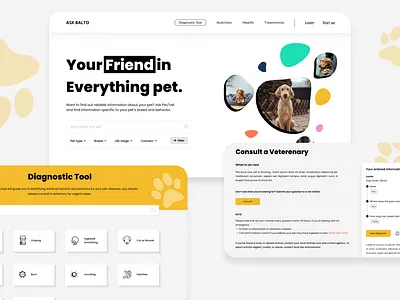 Ask Balto Information Platform for Pets design information architecture pets platform tool ui user experience user interface ux