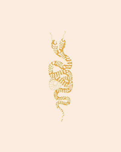 Harvey the Two-Headed Snake design graphic design illustration