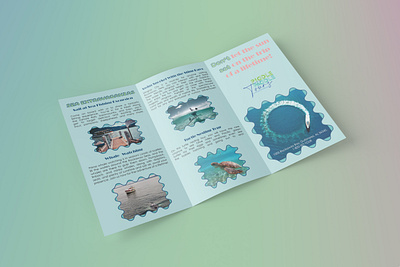 Piddle Paddle Tours Services Brochure branding brochure graphic design illustration marketing