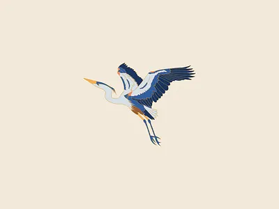 Dirty Coast Collab - LA Wildlife Collection design graphic design illustration