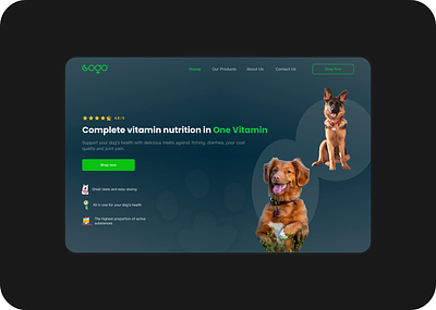Dog Nutrition Website figma landing page ui ux web