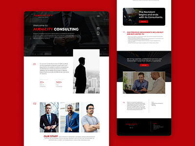 Elegant Landing Page for Audacity Consulting Group wordpress design