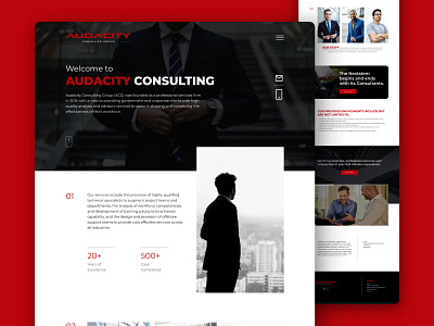 Modern and Professional Landing Page for Audacity Consulting web development