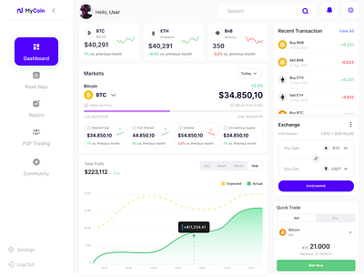 Crypto Wallet Dashboard crypto dashboard interface ui ui design