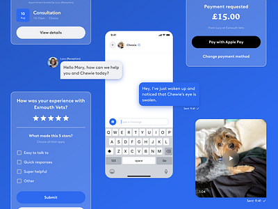 PetsApp · Chat chat design payments ui ux