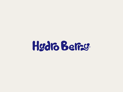 HydroBerry Logo branding graphic design logo