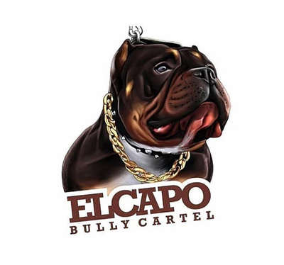 Elcapo Bully Cartel Logo! 3d animation branding design graphic design illustration logo motion graphics ui vector