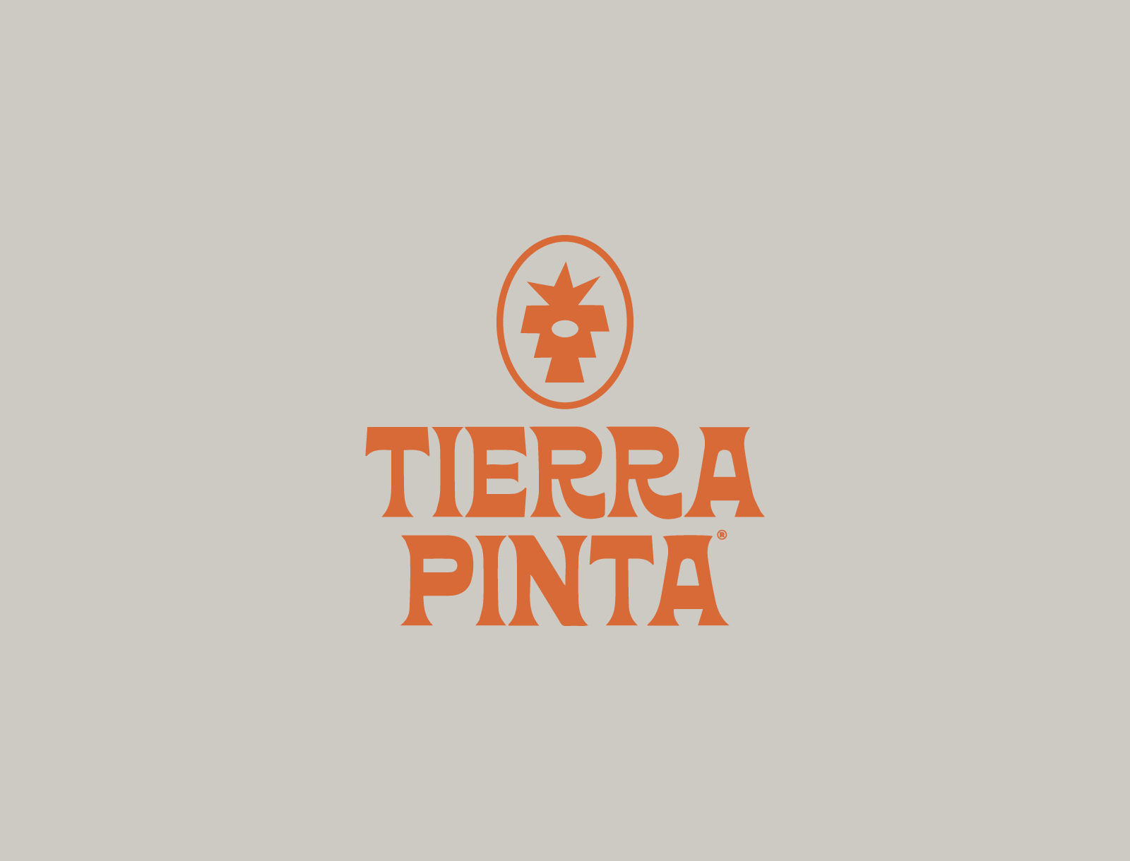 Tierrapinta barro branding design handmade icon illustration land lettering logo logodesign mud watercolors orange tierra typedesign vector