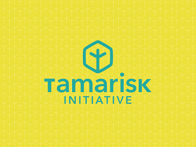 Tamarisk Initiative Visual Identity branding graphic design logo